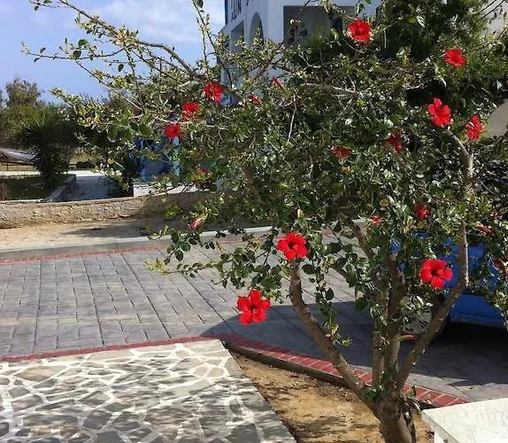Vagos 1 Apartament Agios Prokopios (Naxos)